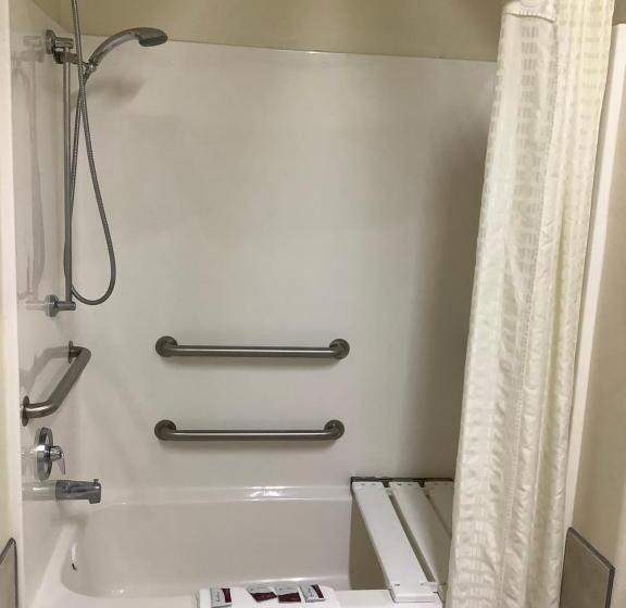 فندق على الطريق Texas Inn  Welasco/mercedes