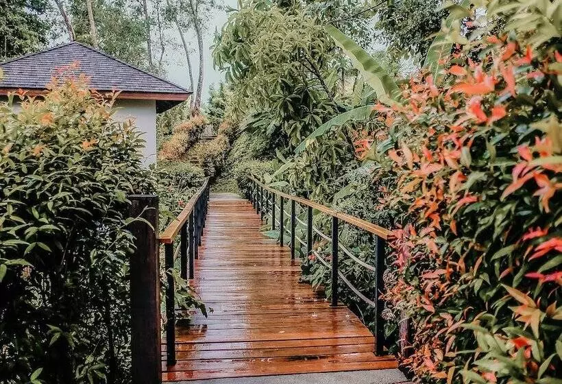 渡假胜地  The Mangrove By Blu Monkey