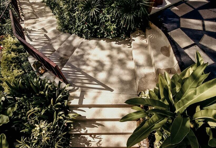 리조트 The Mangrove By Blu Monkey