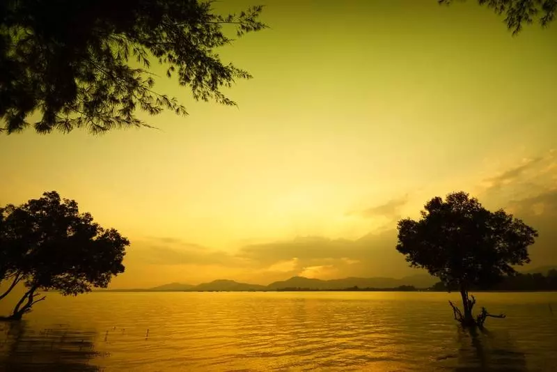 渡假胜地  The Mangrove By Blu Monkey