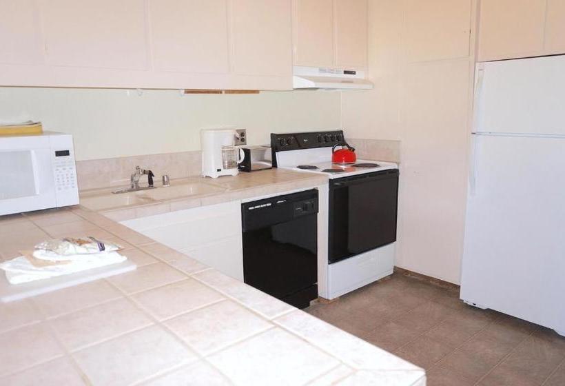 1849 Condos 681 Condo