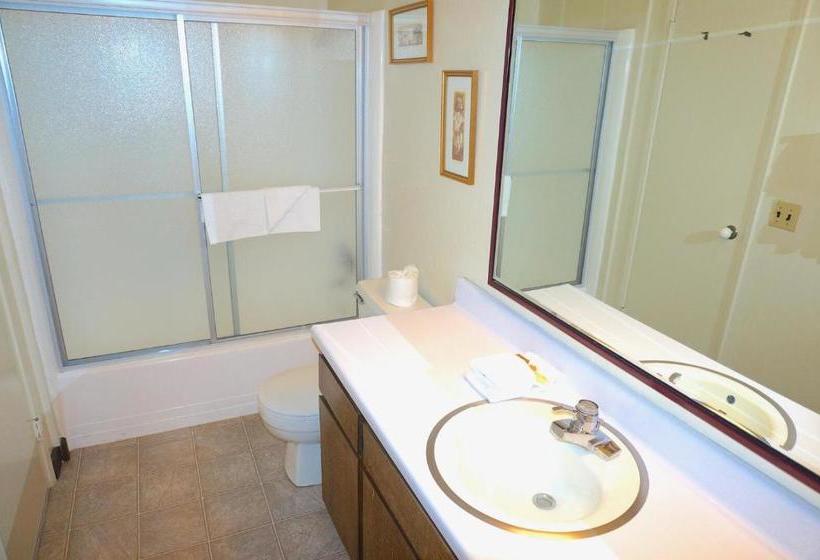 1849 Condos 681 Condo