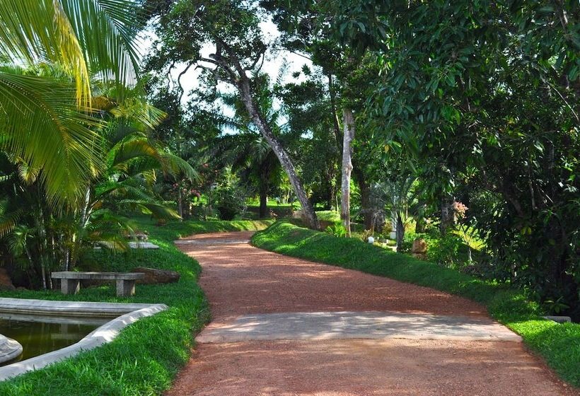 Cocoon Resort & Villas