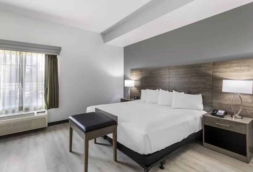 هتل Best Western Plus Midamerica