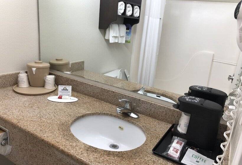 Hotel Days Inn & Suites By Wyndham Conroe North