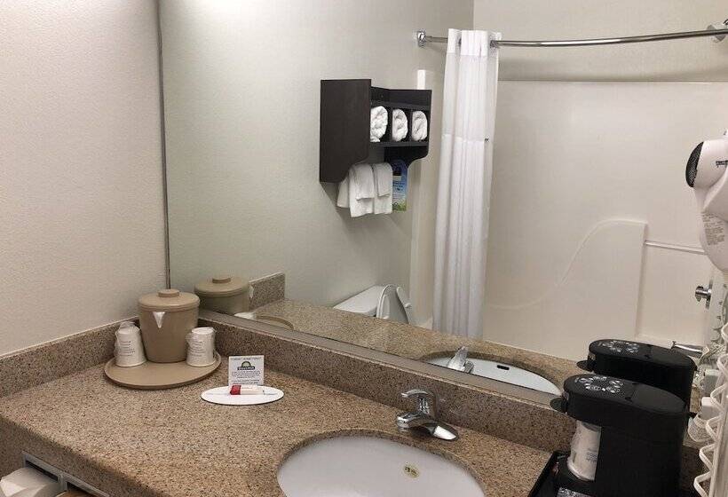 Hotel Days Inn & Suites By Wyndham Conroe North