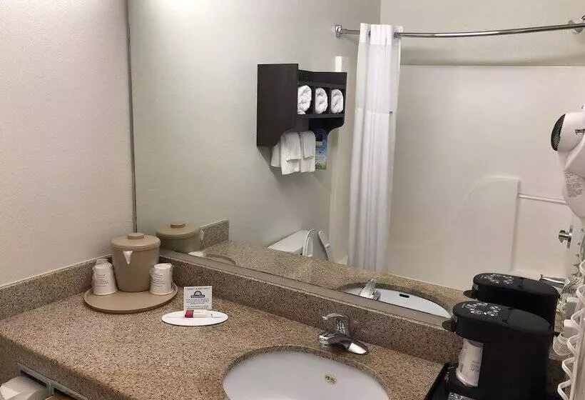 호텔 Days Inn & Suites By Wyndham Conroe North