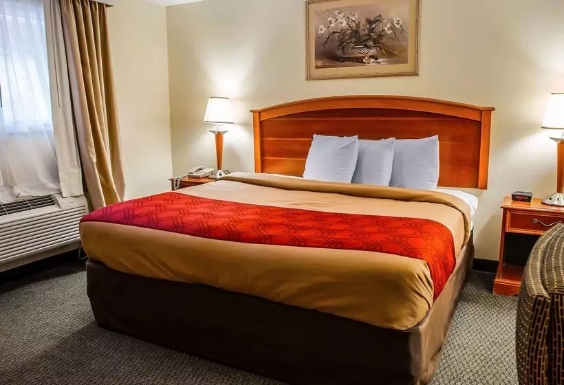 Отель Econo Lodge Jefferson Hills Hwy 51