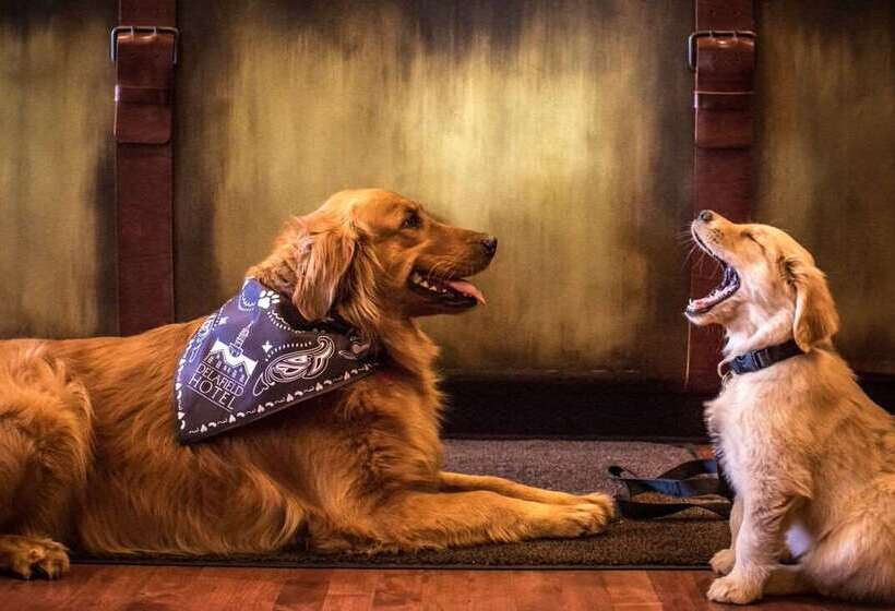 호텔 The Delafield