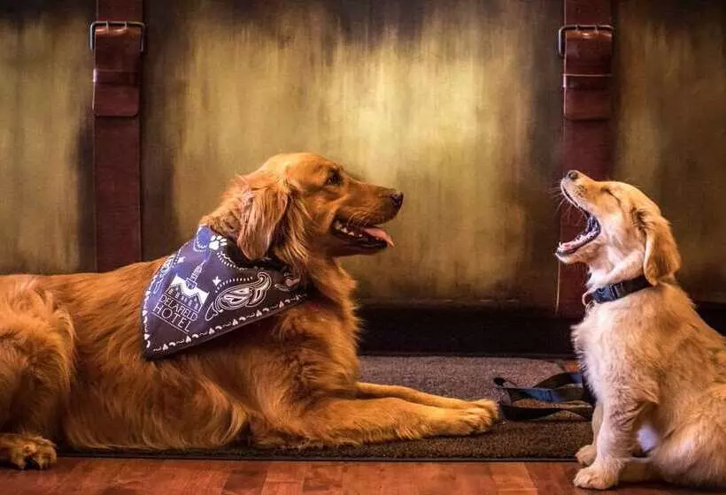 Отель The Delafield