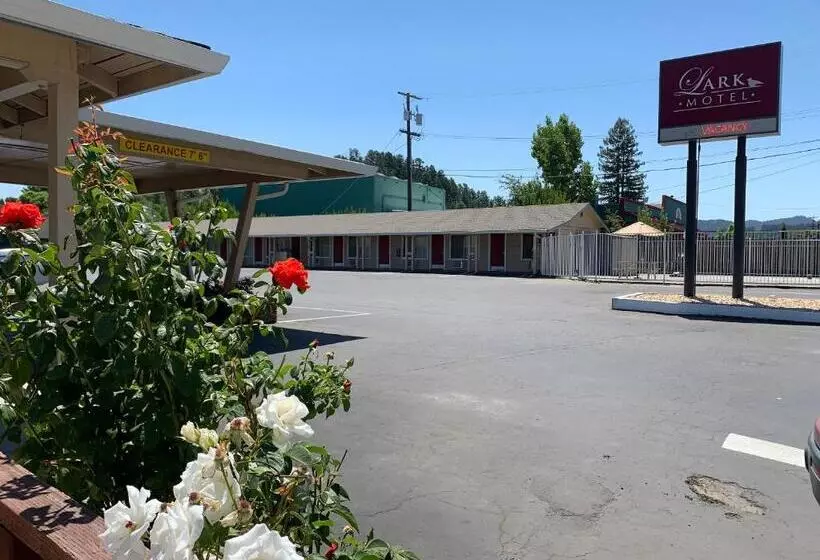 Lark Motel Willits