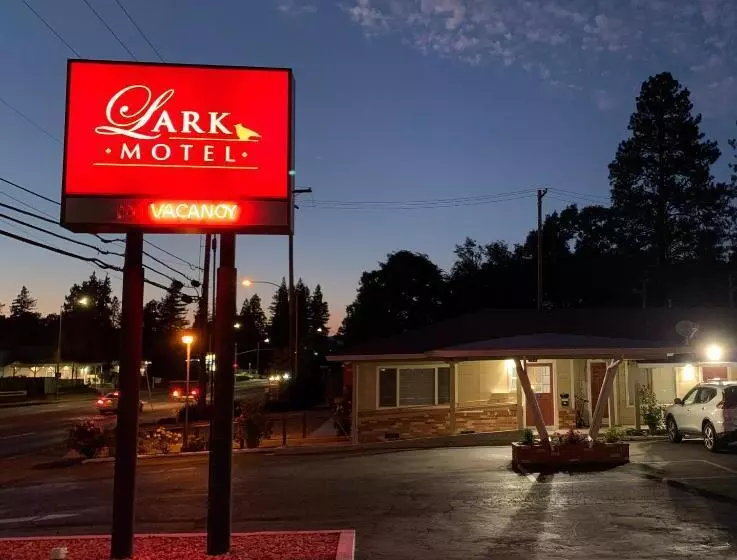 Lark Motel Willits