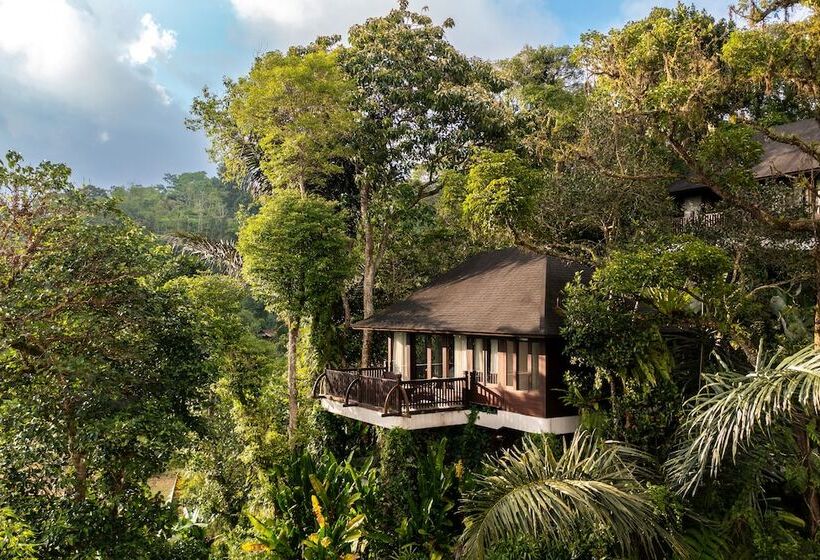 リゾートホテル Homm Saranam Baturiti, Bali   A Part Of Banyan Group