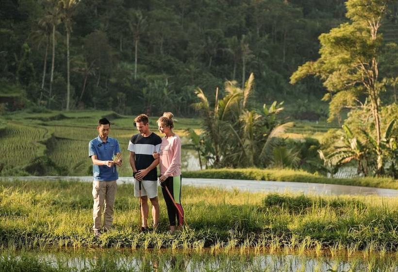 リゾートホテル Homm Saranam Baturiti, Bali   A Part Of Banyan Group
