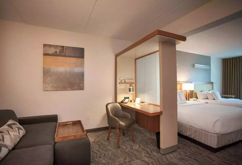 Springhill Suites By Marriott Athens West