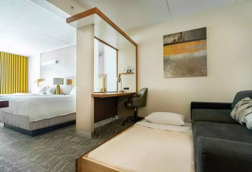 Springhill Suites By Marriott Athens West