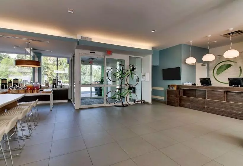 Element Ewing Princeton