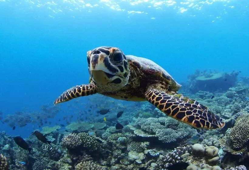 Four Seasons Resort Maldives At Landaa Giraavaru