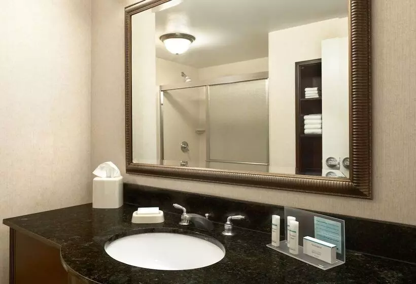 Hampton Inn & Suites Laurel, Ms