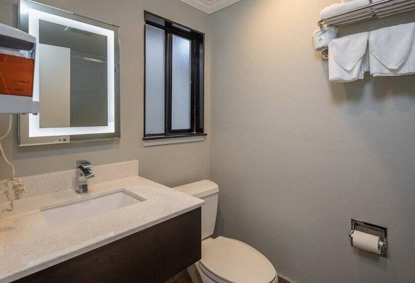 فندق Bayhill Inn