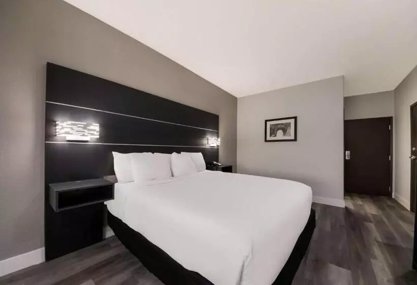 ホテル Best Western Seaworld San Antonio