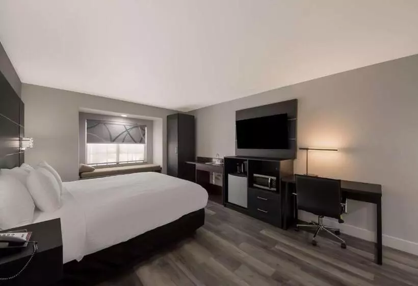 ホテル Best Western Seaworld San Antonio