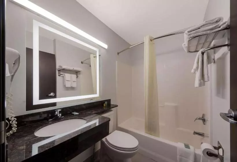 ホテル Best Western Seaworld San Antonio