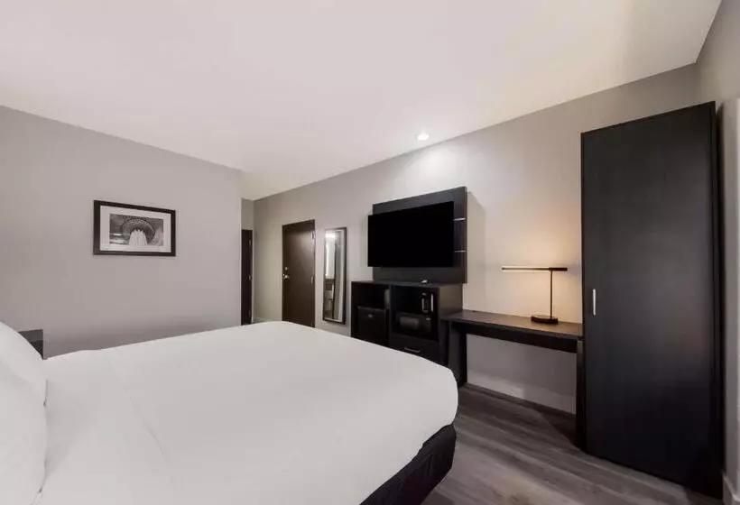 ホテル Best Western Seaworld San Antonio