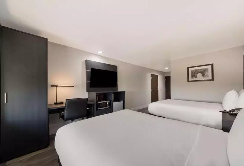 ホテル Best Western Seaworld San Antonio
