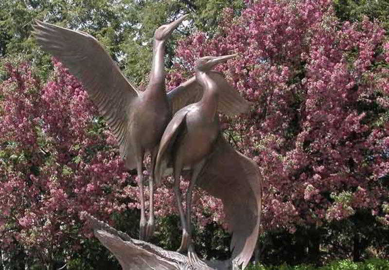 ホテル Fairfield Inn & Suites By Marriott Wausau