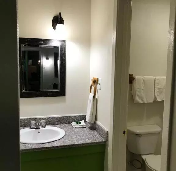 Отель Olivia Inn