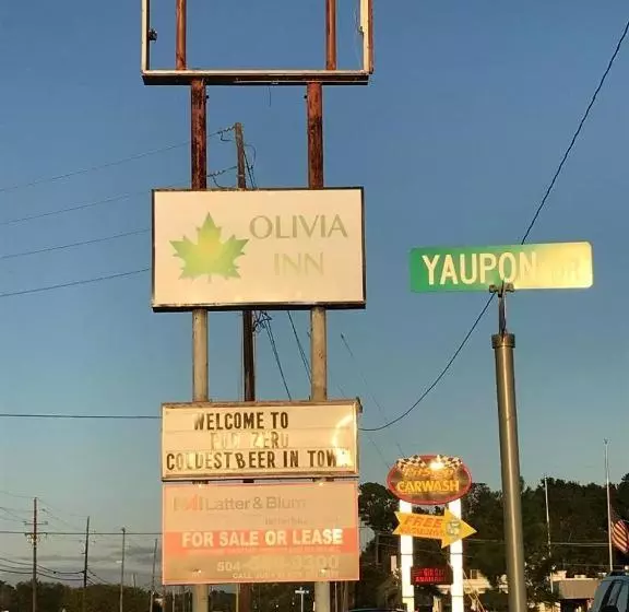 Отель Olivia Inn