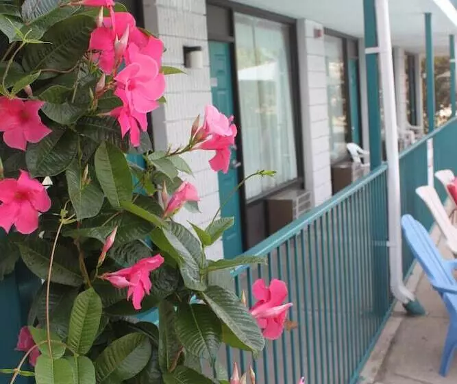 Hotelli Ozark Valley Inn