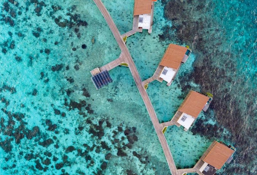 Hotell Park Hyatt Maldives Hadahaa