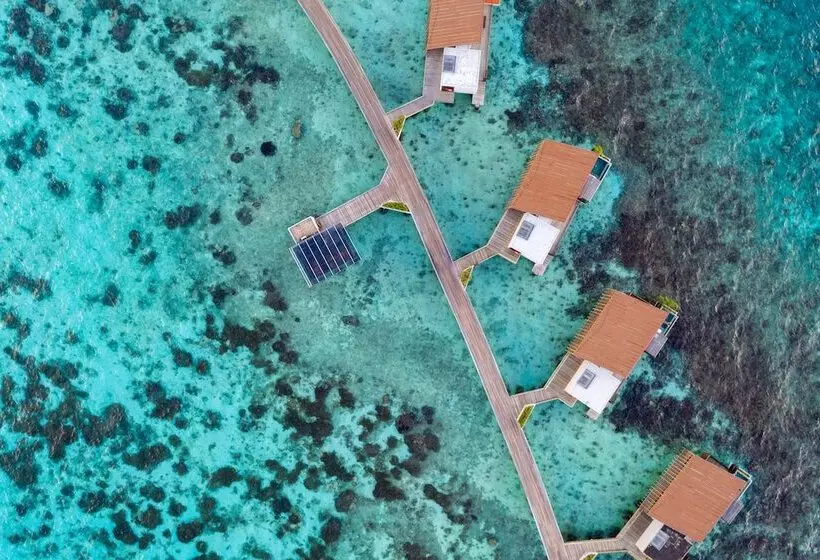 Отель Park Hyatt Maldives Hadahaa