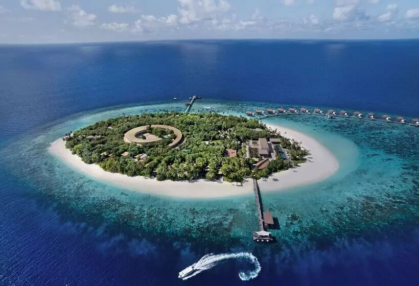 Отель Park Hyatt Maldives Hadahaa