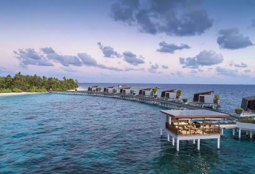 Отель Park Hyatt Maldives Hadahaa