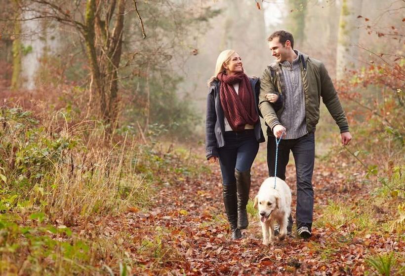 בית מלון כפרי Relax Inn Westminster