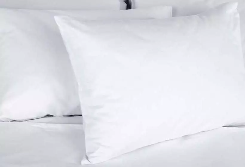 酒店 Relax Inn Westminster