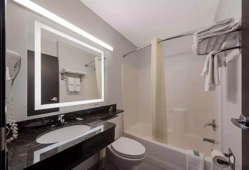 ホテル Best Western Seaworld San Antonio
