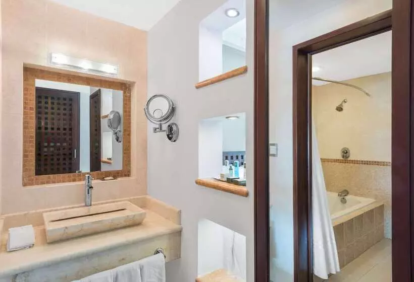 ホテル Wyndham Merida