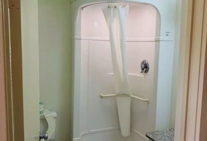 فندق Americas Best Value Inn Lake City