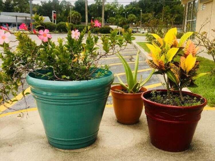 ホテル Americas Best Value Inn Lake City