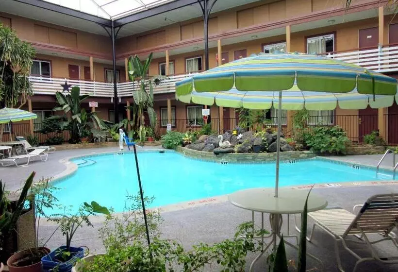 בית מלון כפרי Budget Host Inn