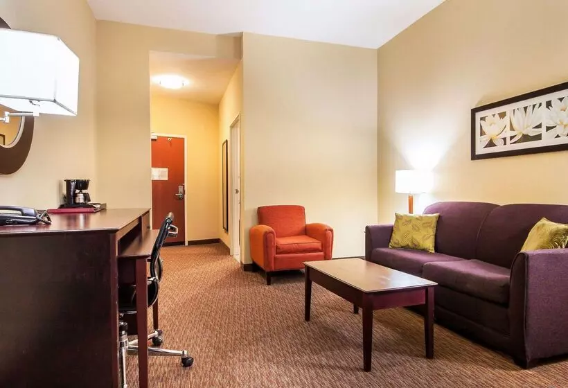 ホテル Comfort Suites