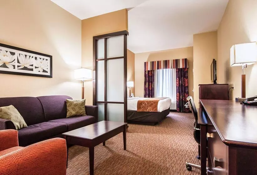 ホテル Comfort Suites