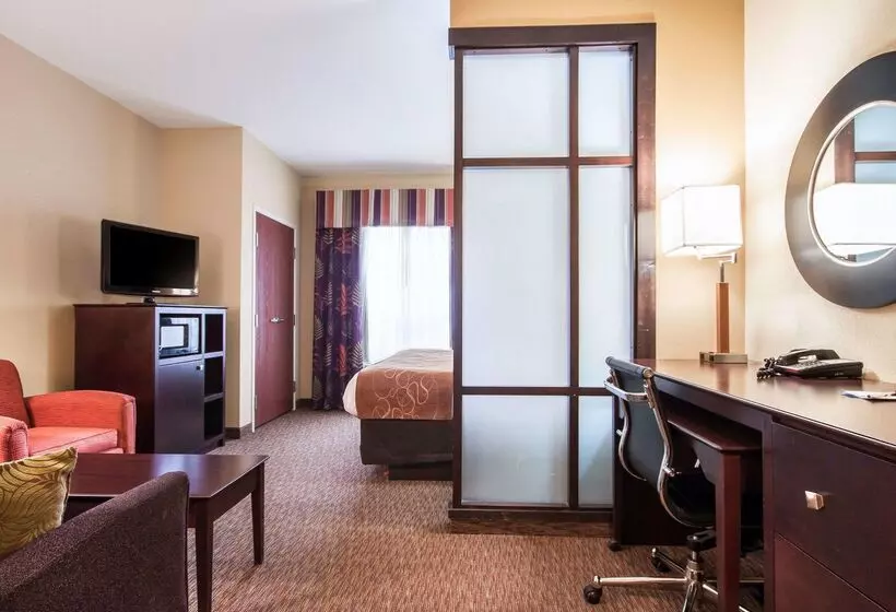 ホテル Comfort Suites