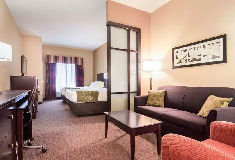 ホテル Comfort Suites
