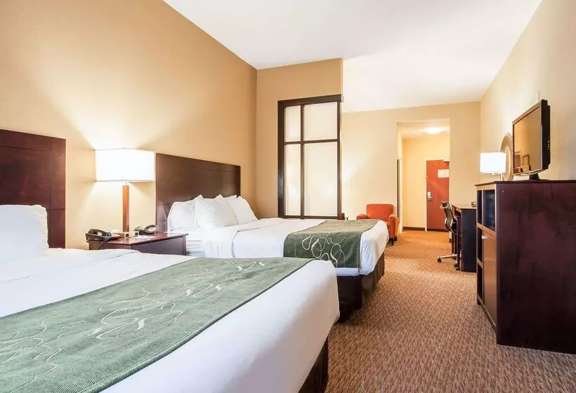 ホテル Comfort Suites