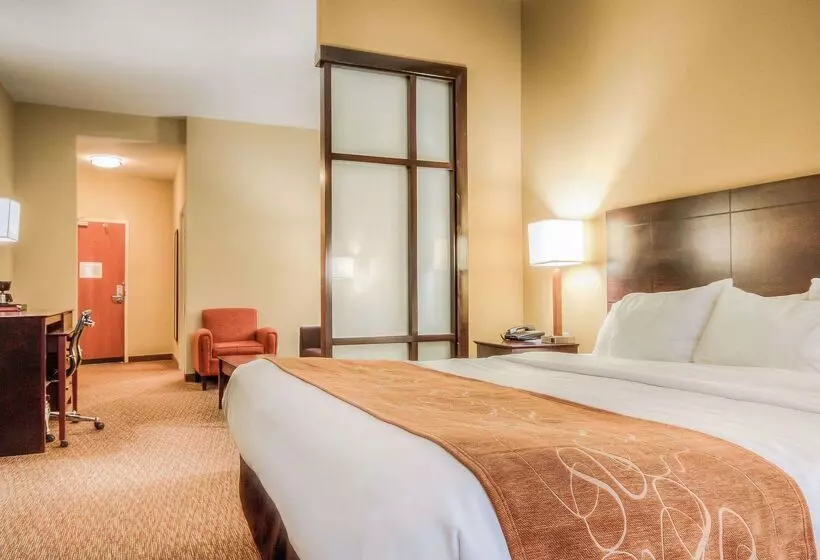 ホテル Comfort Suites